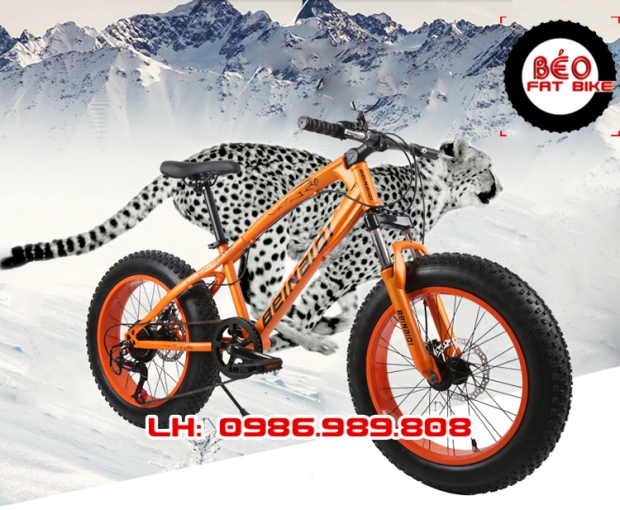 Beinaidi Fatbike là loại Mountain Bike các bạn nhé, phù hợp với mọi loại địa hình